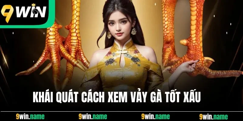 Khái quát cách xem vảy gà tốt xấu Khái quát cách xem vảy gà tốt xấu