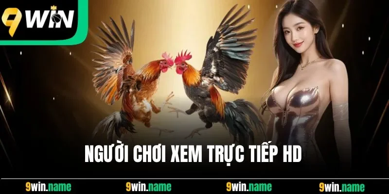 Người chơi xem trực tiếp HD Người chơi xem trực tiếp HD