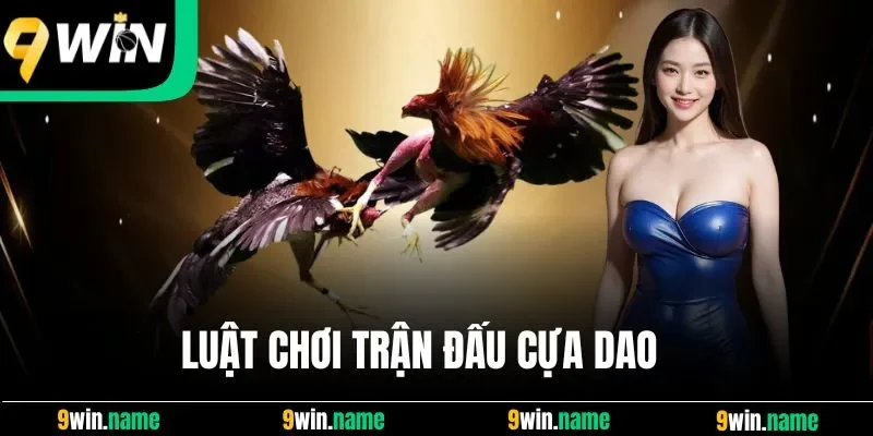 Luật chơi trận đấu cựa dao Luật chơi trận đấu cựa dao