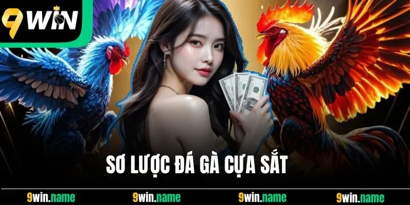 Sơ lược đá gà cựa sắt Sơ lược đá gà cựa sắt