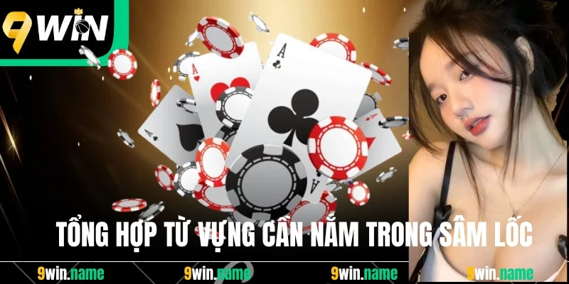 Tổng hợp từ vựng cần nắm trong Sâm Lốc Tổng hợp từ vựng cần nắm trong Sâm Lốc